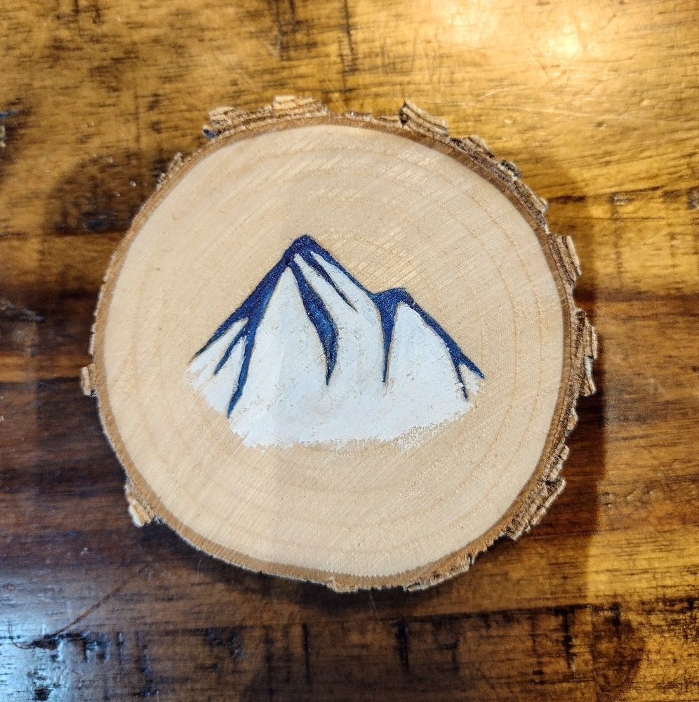 NEW handmade Mountain Magnet